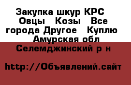 Закупка шкур КРС , Овцы , Козы - Все города Другое » Куплю   . Амурская обл.,Селемджинский р-н